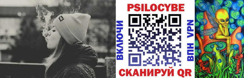 Купить где  Знаменск  Псилоцибиновые грибы Psilocybe 